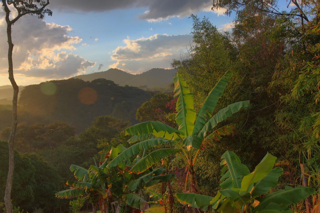 Pousada Coracao Verde Miguel Pereira Esterno foto